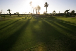 Same image through a tinted polarized lens 250x250_fitbox-golf_image_with_dynamic_sphere.jpg